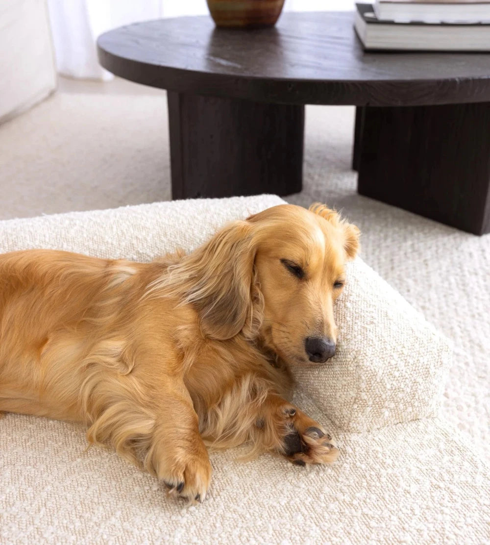 Koozi - Cloud Dog Bed