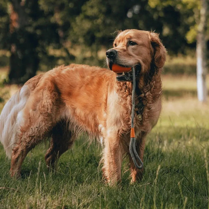 Beco Slinger Ball for Fetch