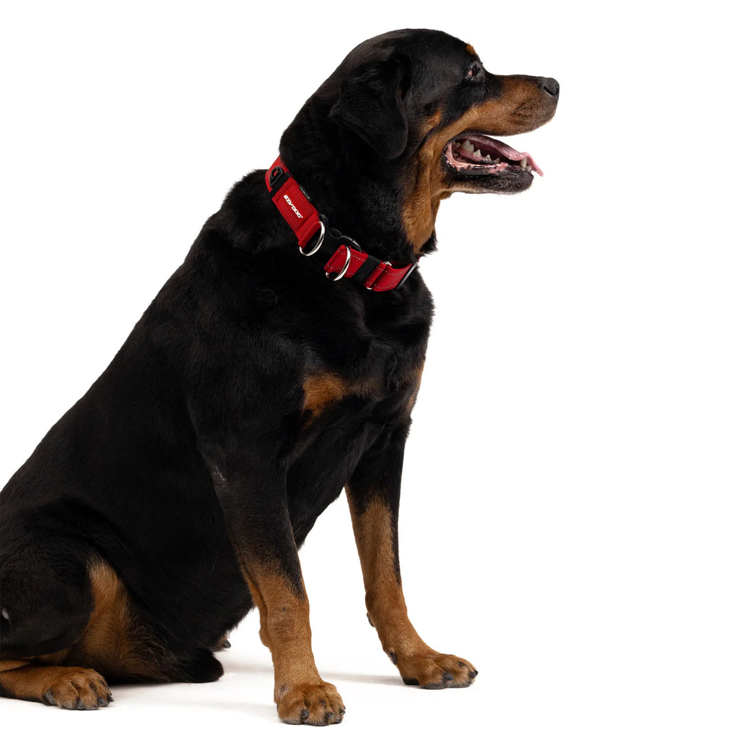 EzyDog Double Up Collar - Red