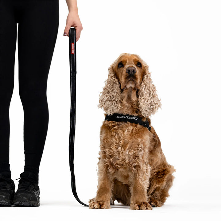 EzyDog Essential Leash - Black