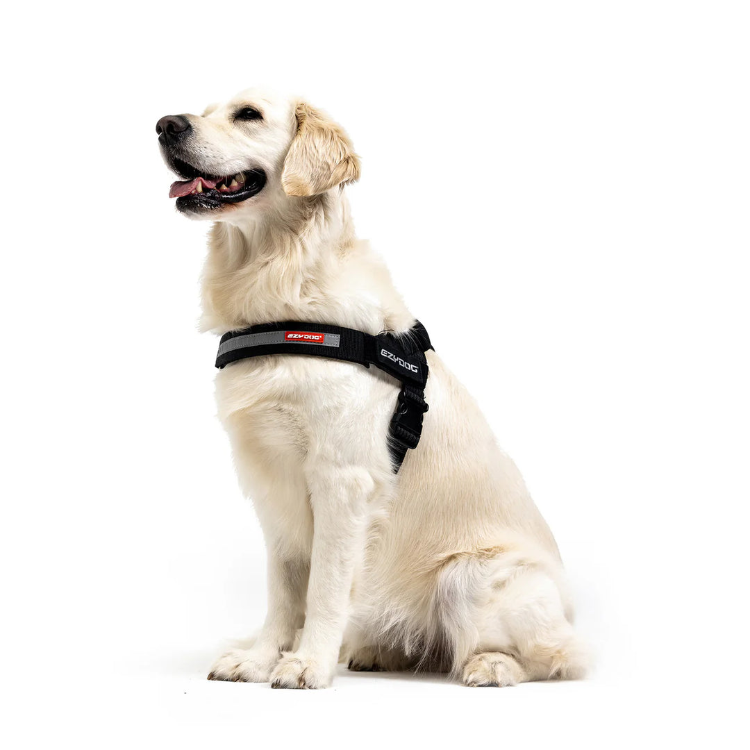 EzyDog Express Harness - Red