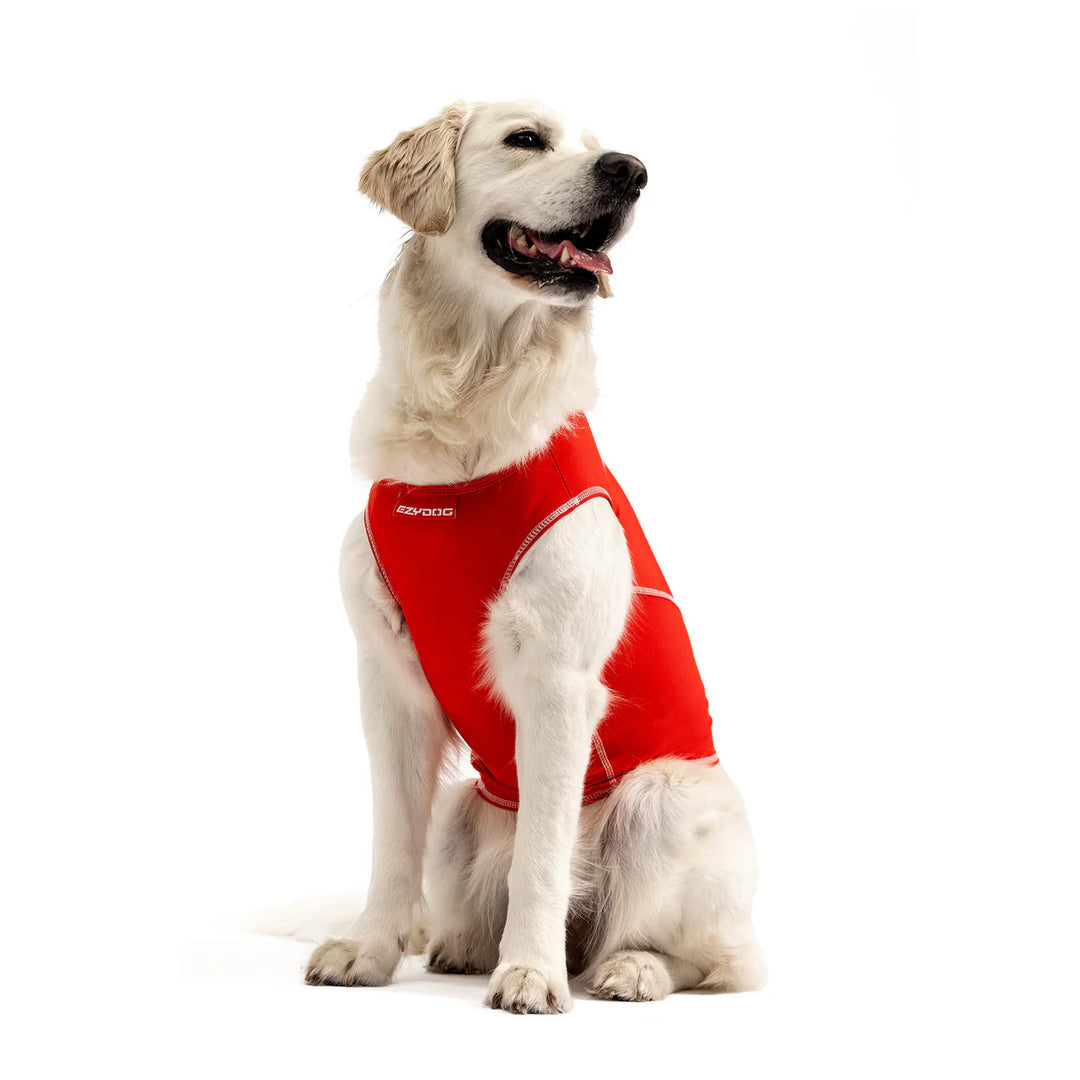 Ezydog Hi-Vis UV Rashies - Red