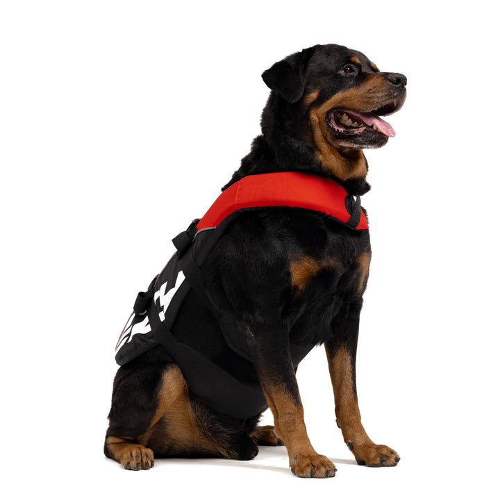 EzyDog Flotation Vest With Grab Handle