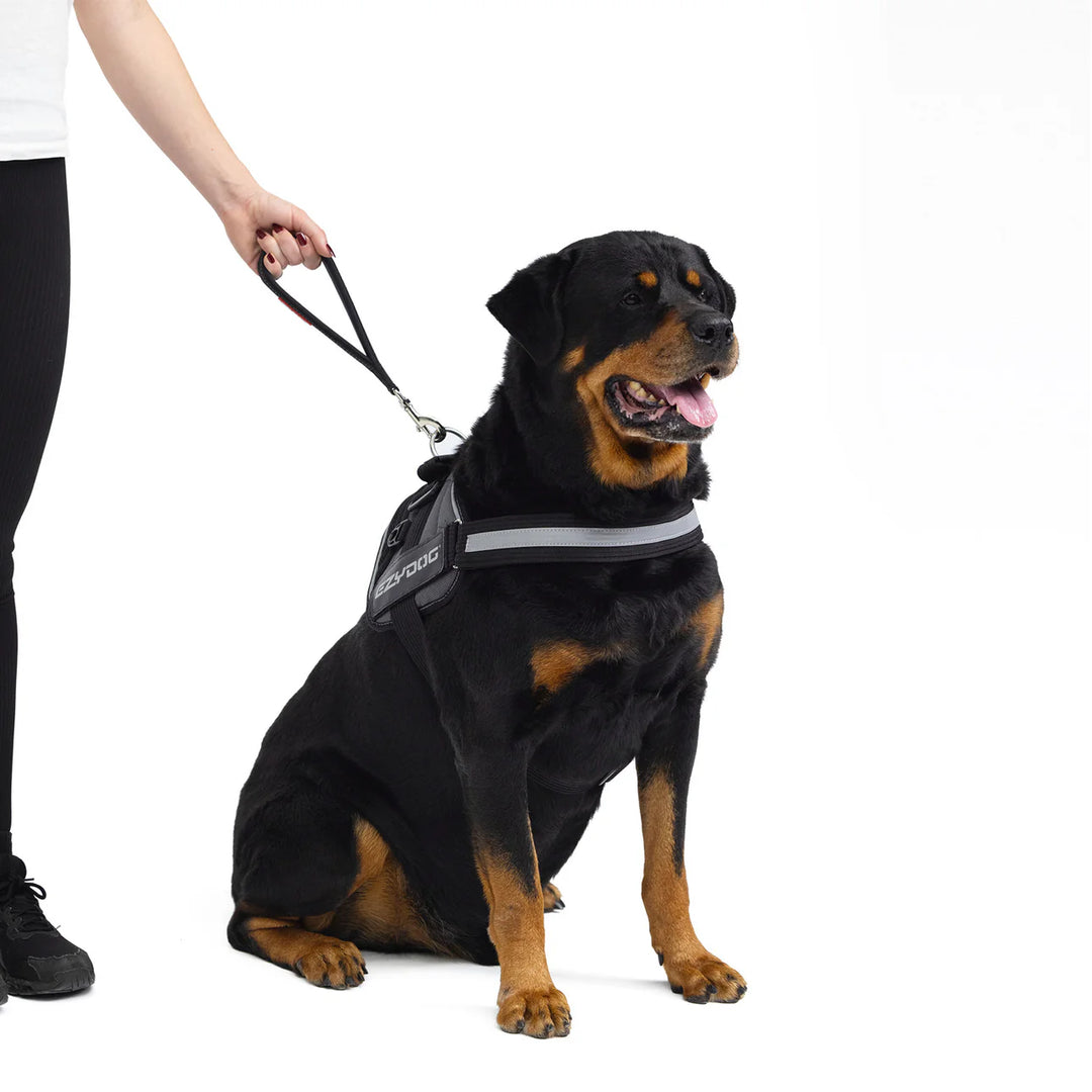 EzyDog Neo Mongrel Leash