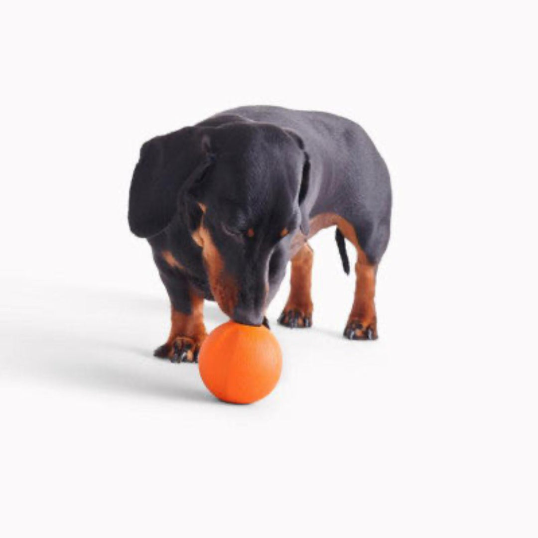 Beco Fetch Ball - Orange