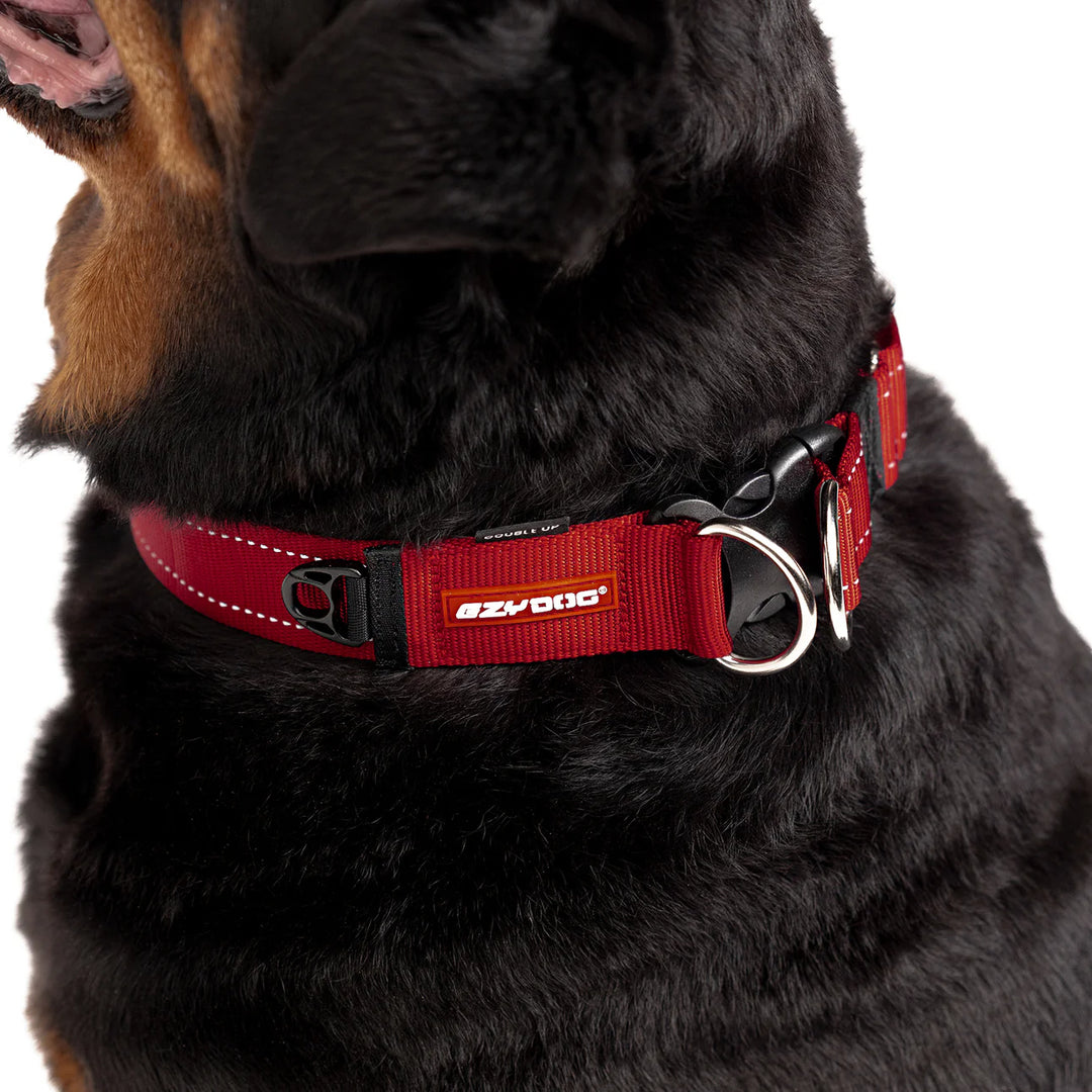 EzyDog Double Up Collar - Red