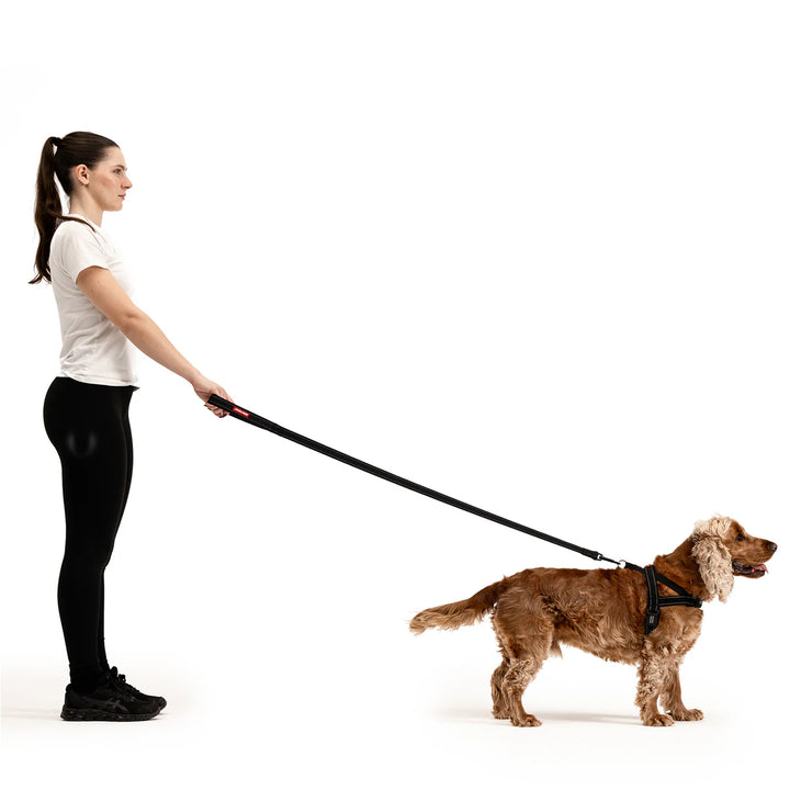 EzyDog Essential Leash - Black