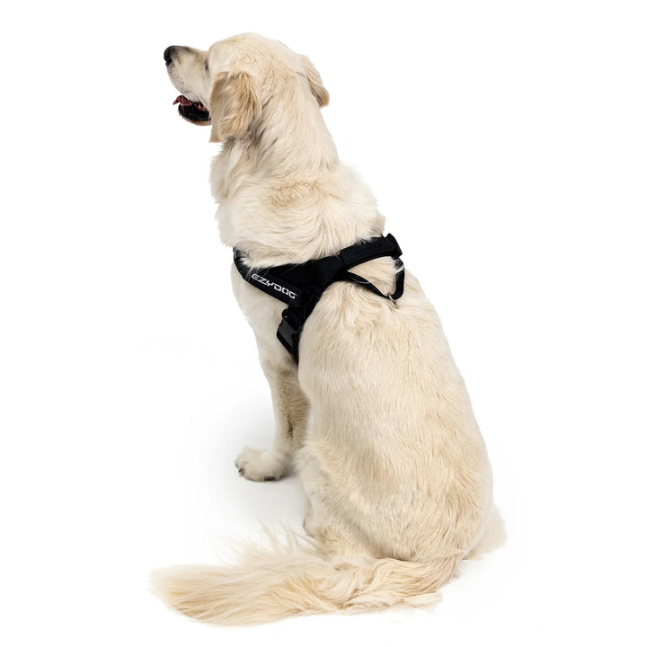 EzyDog Express Harness - Corduroy