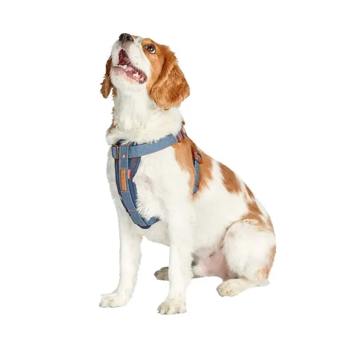 EzyDog Chest Plate Harness - Denim