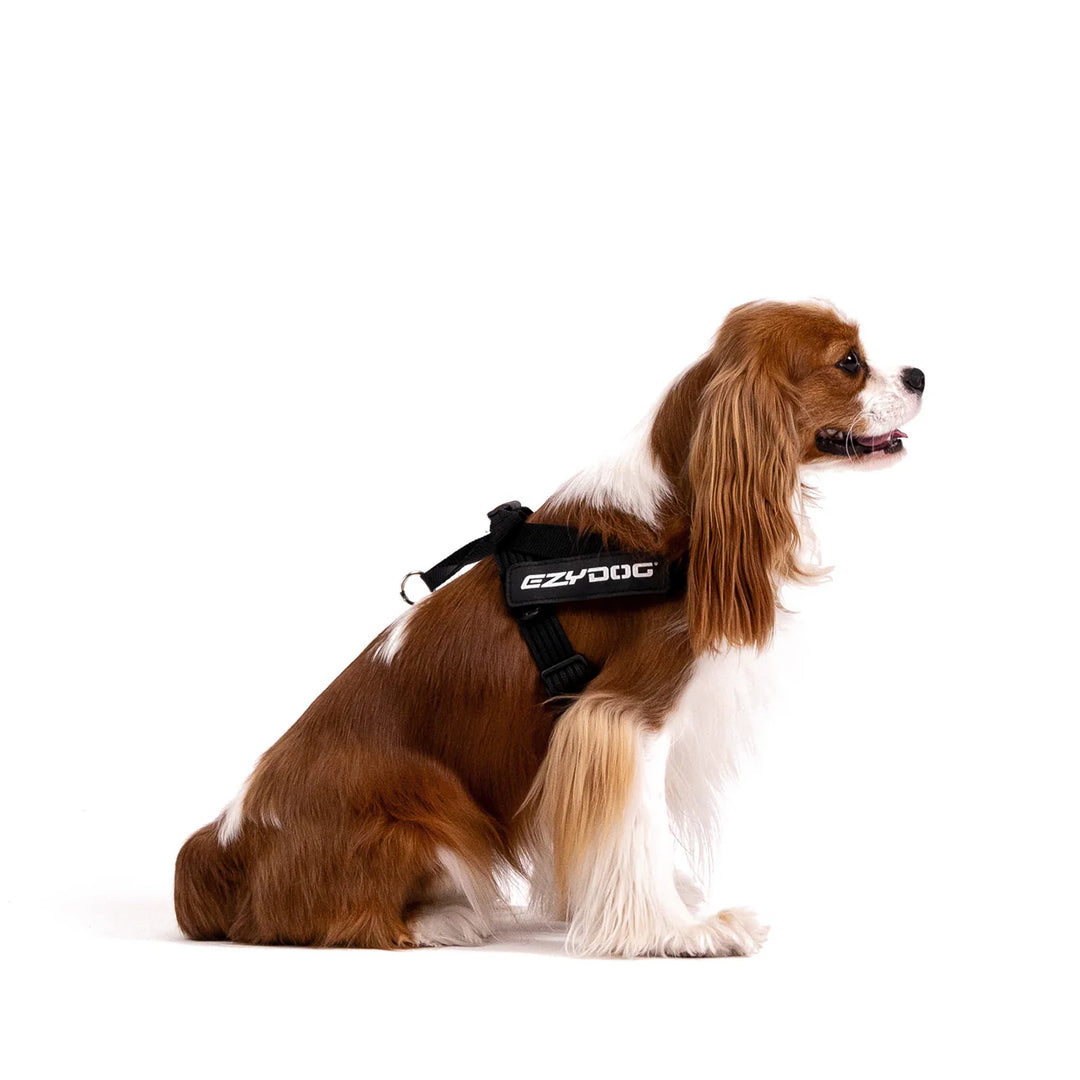 EzyDog Express Harness - Corduroy