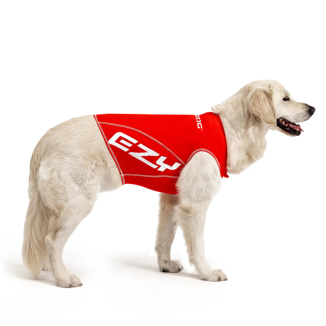 Ezydog Hi-Vis UV Rashies - Red