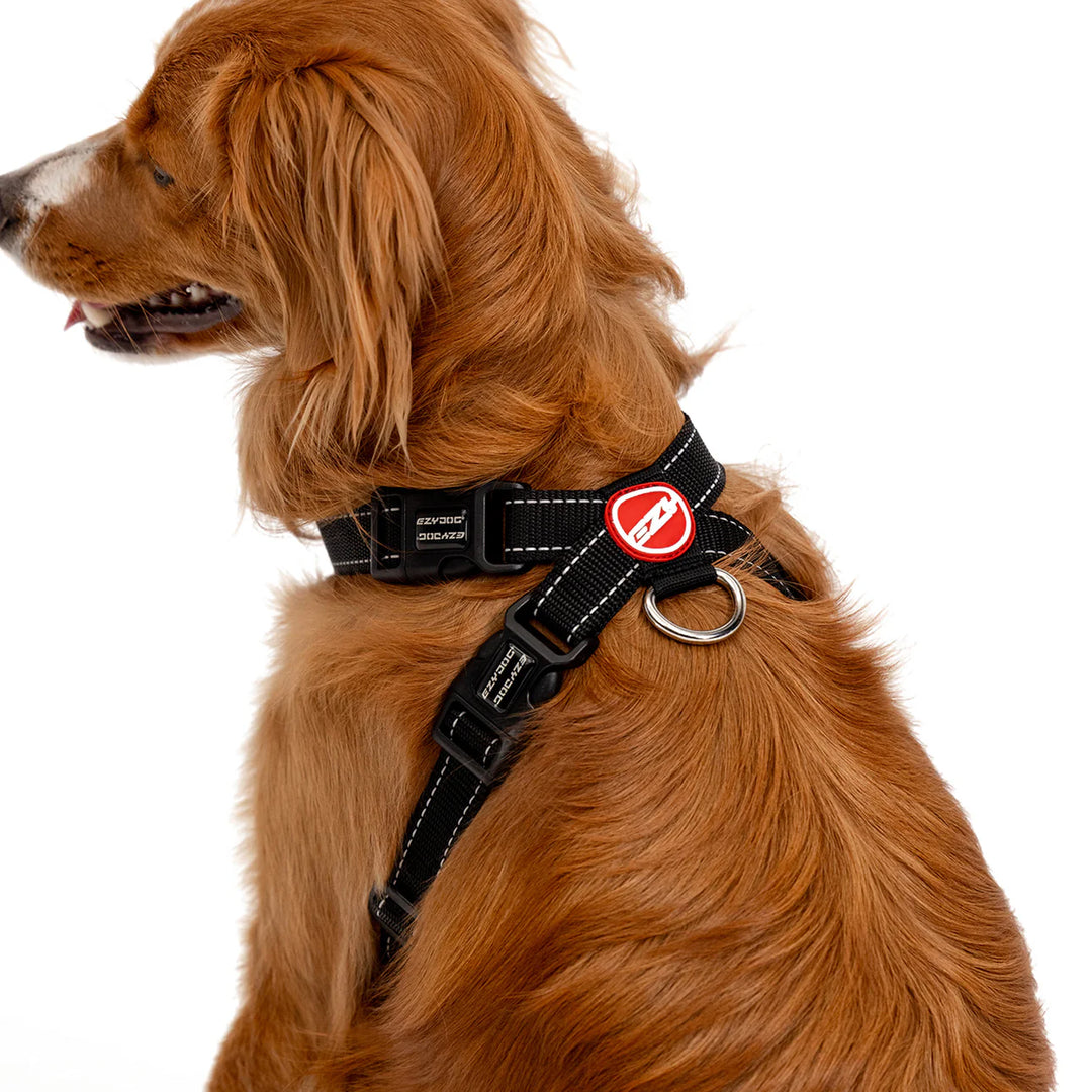 EzyDog Chest Plate Harness - Black