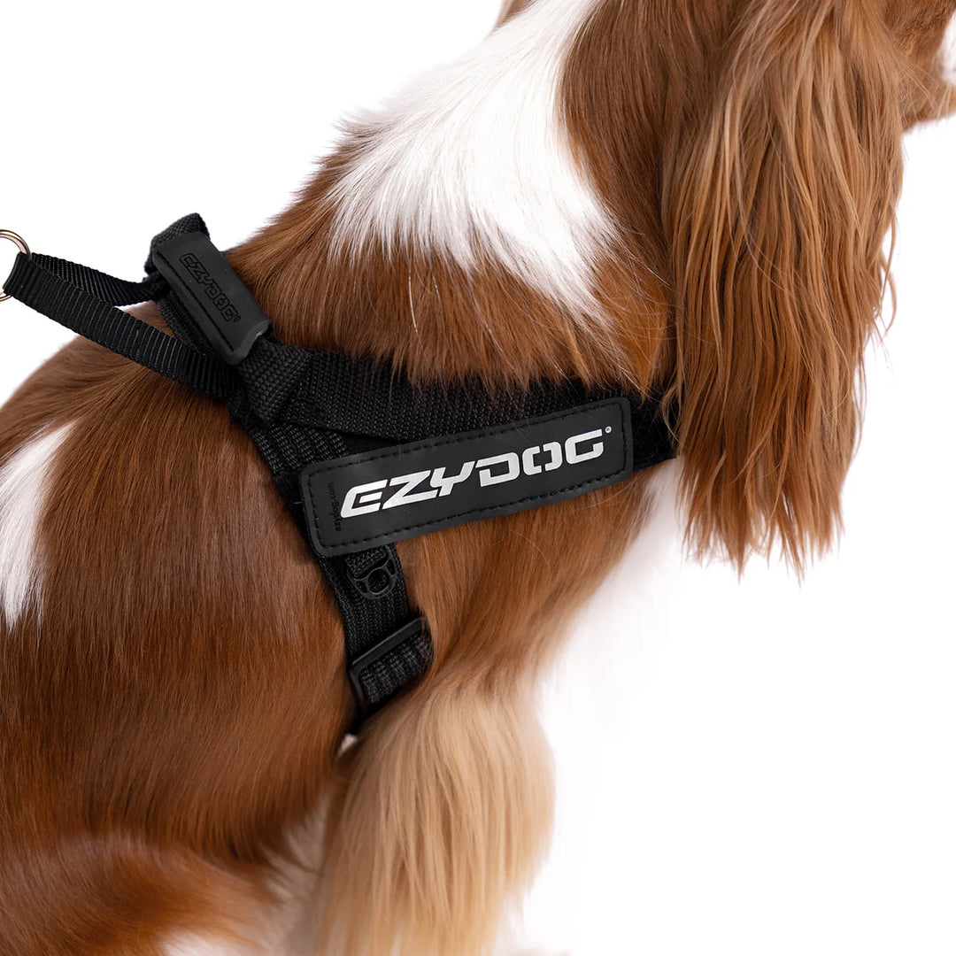 EzyDog Express Harness - Denim