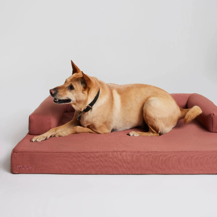 Koozi - Cloud Dog Bed