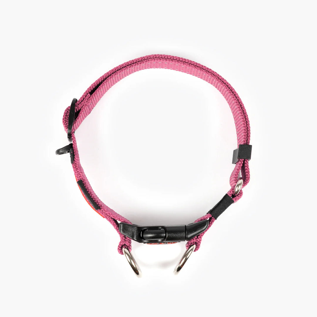 EzyDog Double Up Collar - Pink