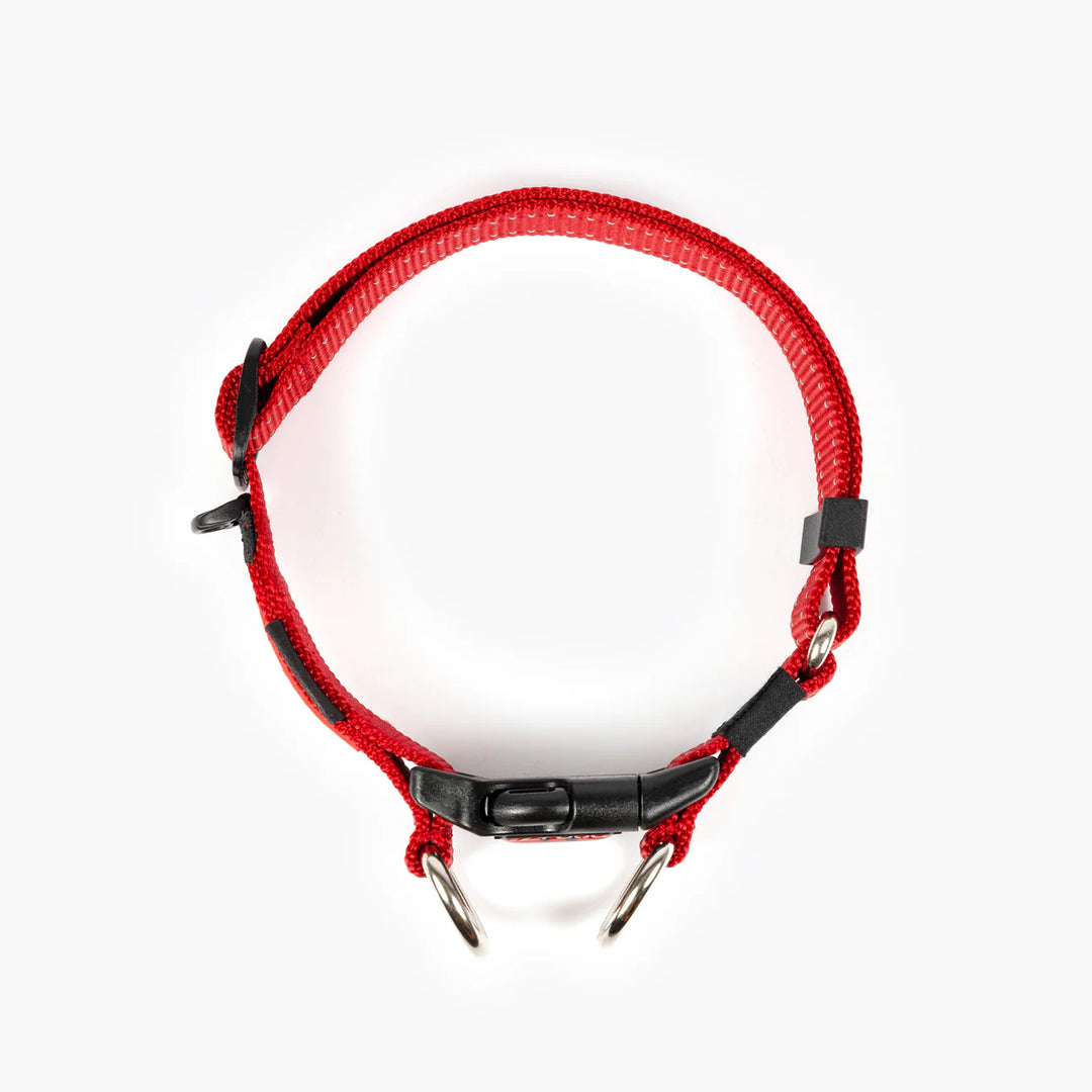 EzyDog Double Up Collar - Red