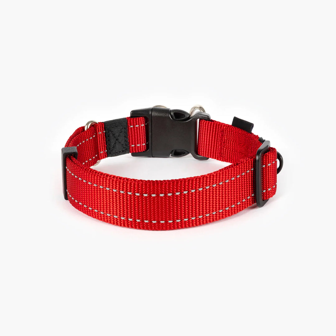 EzyDog Double Up Collar - Red