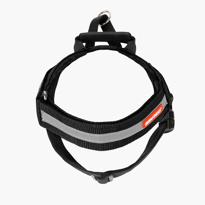 EzyDog Express Harness - Black