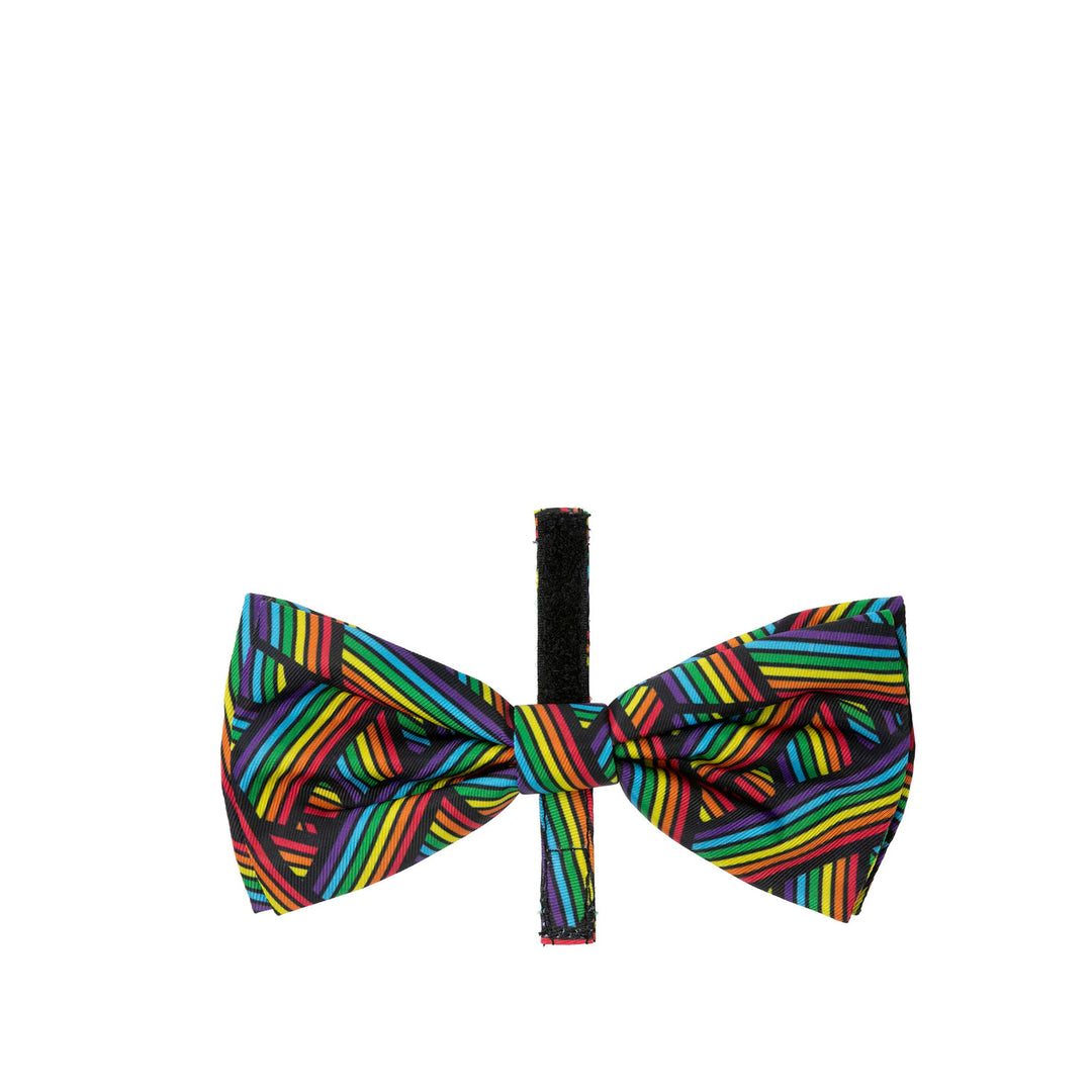 Bowtie - Rainbow Northcote