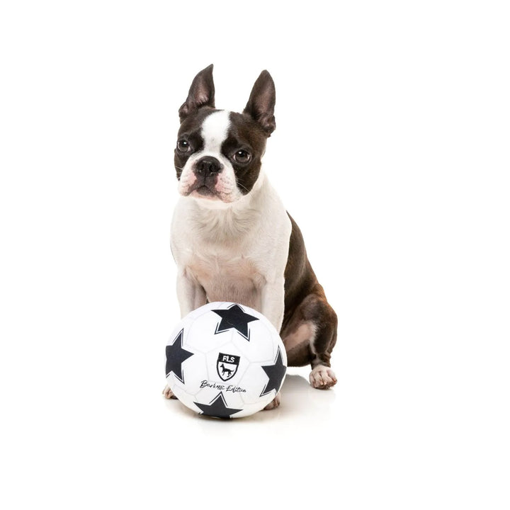 Plush Dog Toy Soccer Ball