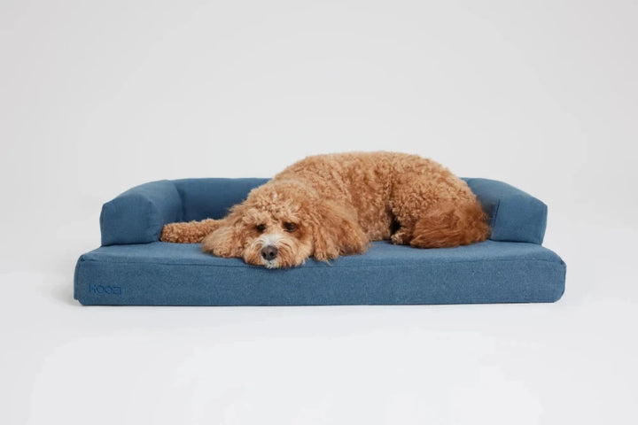 Koozi - Cloud Dog Bed