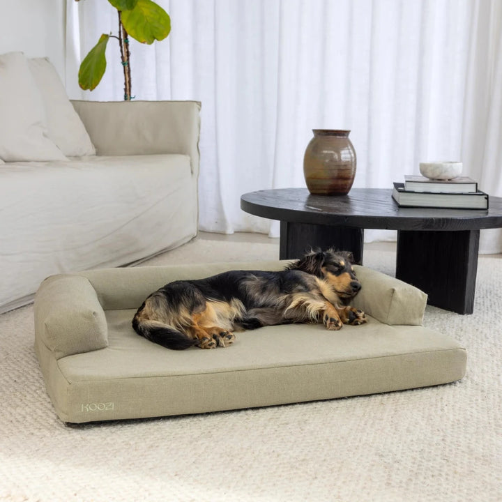 Koozi - Cloud Dog Bed