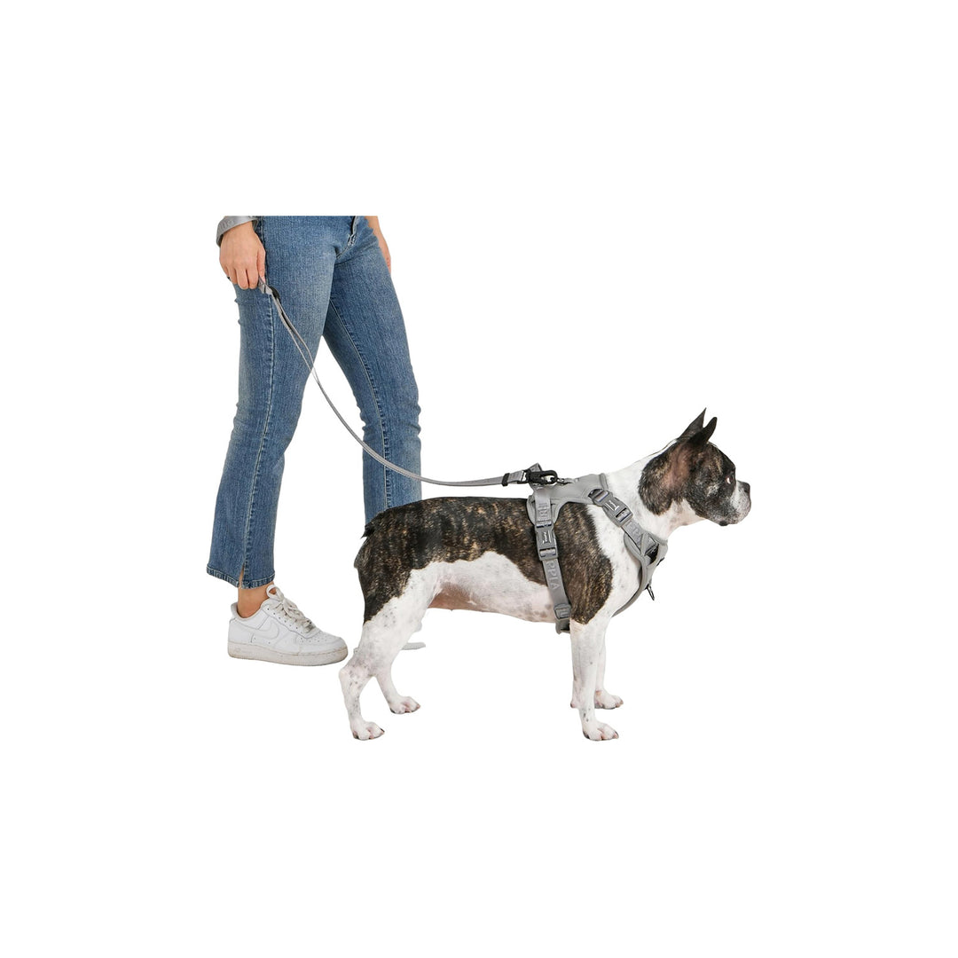 Puppia Jarek Dog Harness - Grey