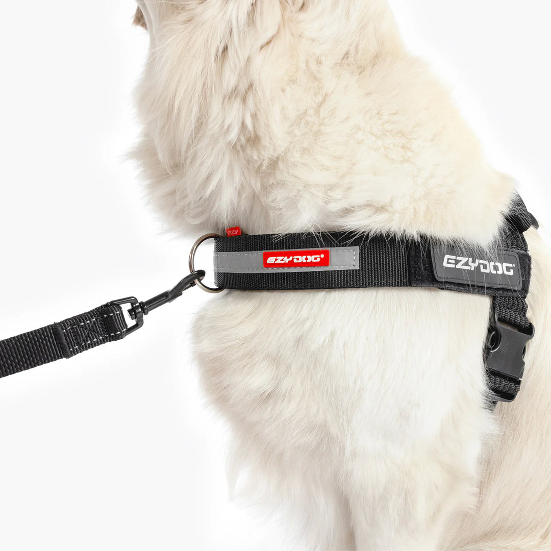 EzyDog UpFront D-Ring Attachment