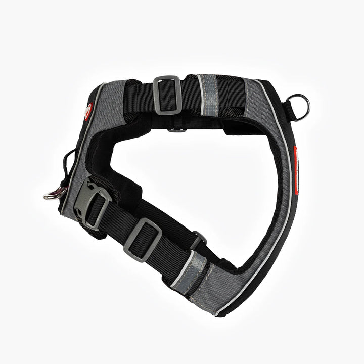 EzyDog X-Link Harness - Black