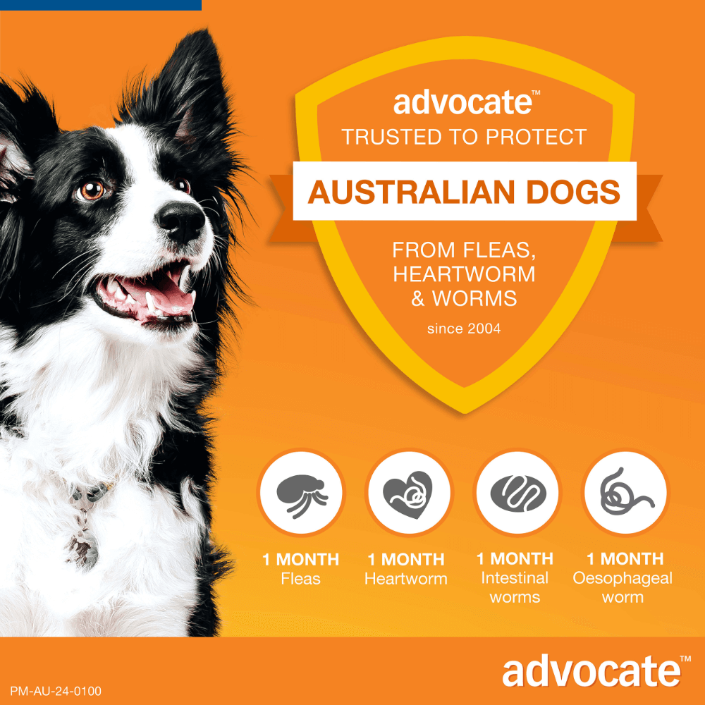 Advocate Fleas, Heartworm & Worms  -  Dogs over 25kg  -  3 pack