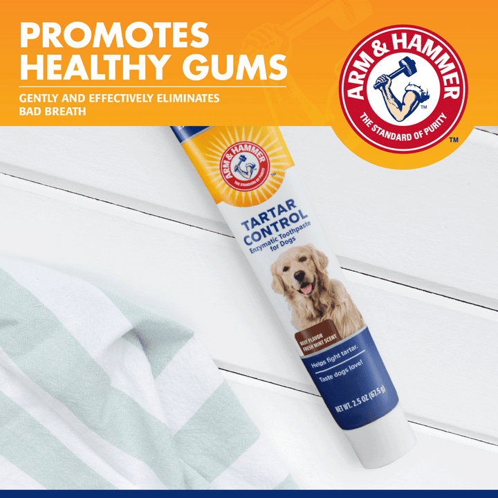 Tartar Control Enzymatic Toothpaste For Dogs - Beef