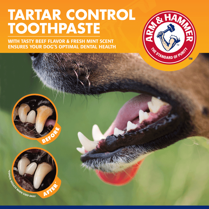 Complete Care Dental Kit For Dogs - Chicken Flavour