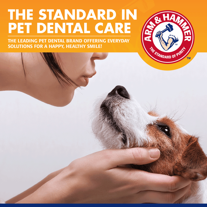 Complete Care Dental Kit For Dogs - Chicken Flavour