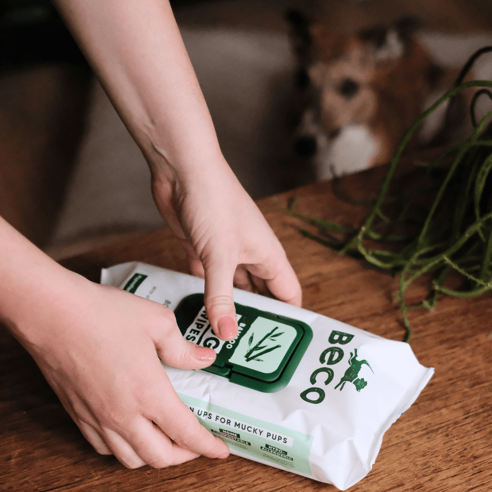 Beco Bamboo Dog Wipes