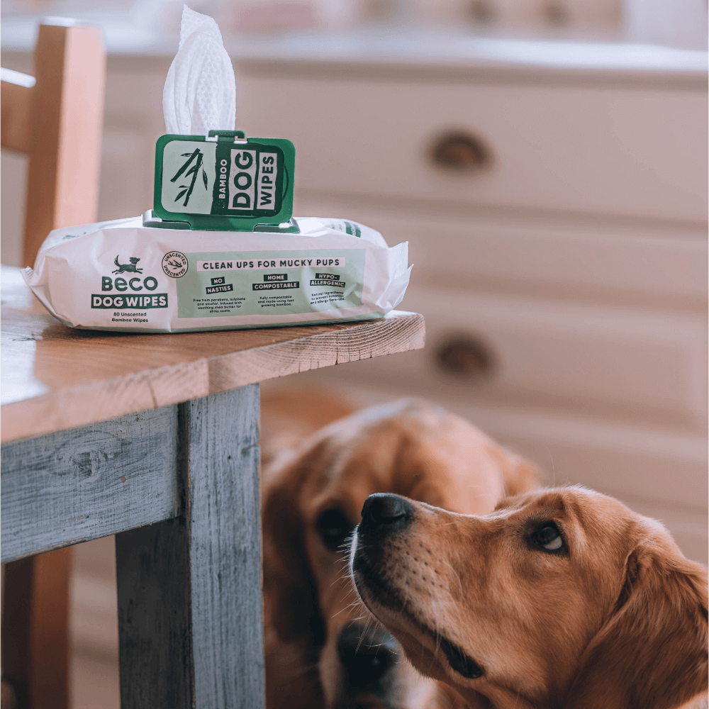 Beco Bamboo Dog Wipes