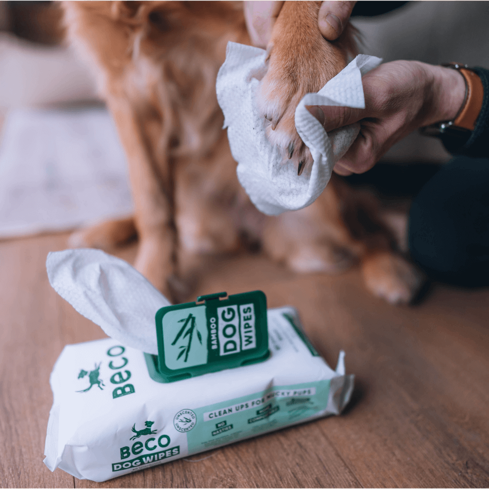 Beco Bamboo Dog Wipes