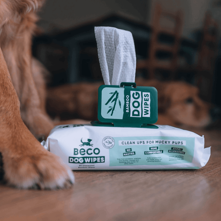 Beco Bamboo Dog Wipes