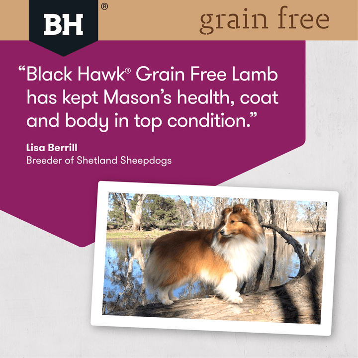 Black Hawk Grain Free Adult Dog Food - Lamb 2.5kg