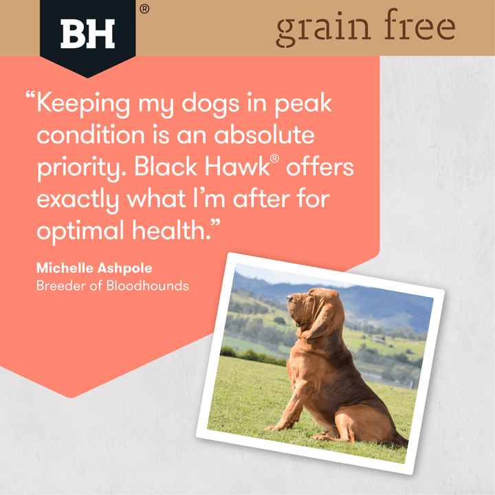 Black Hawk Grain Free Adult Dog Food - Salmon 2.5kg