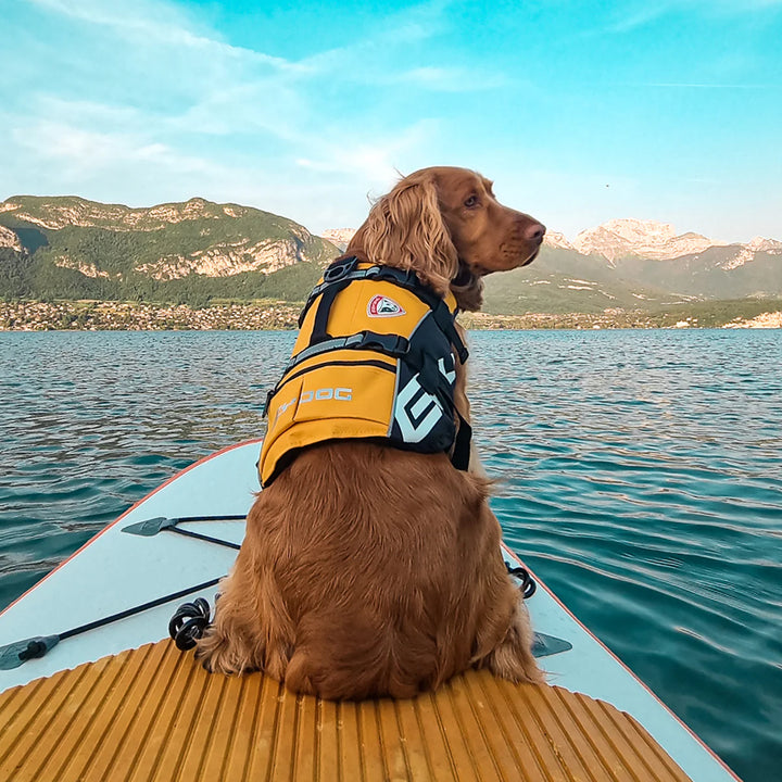 EzyDog Flotation Vest With Grab Handle