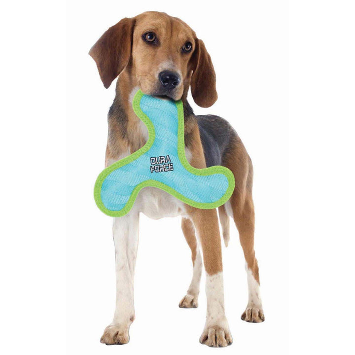 DuraForce Boomerang Tiger Dog Toy Squeaker - Tiger Blue