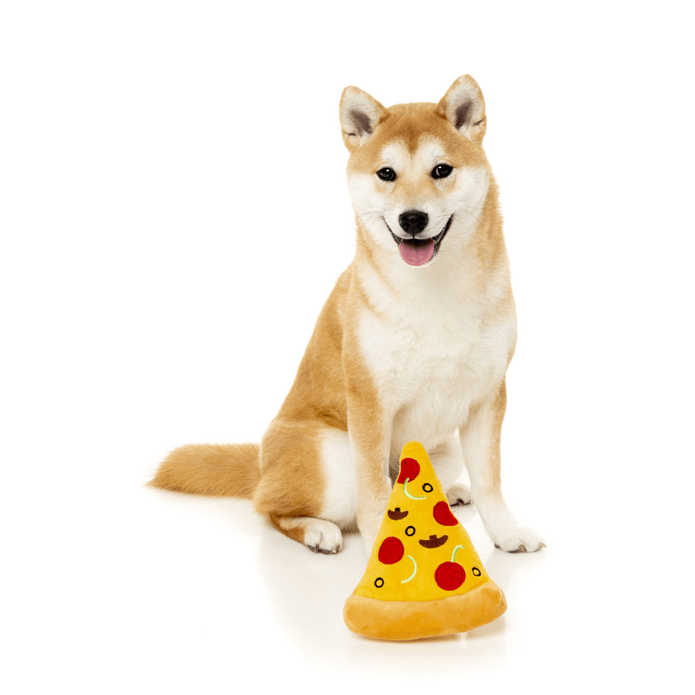 Pizza Slice- Dog Toy