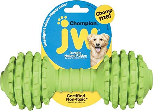 Chompion Dog Chew Toy - Small / Medium - Blue / Orange