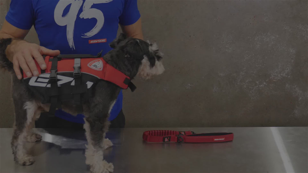 EzyDog Flotation Vest With Grab Handle