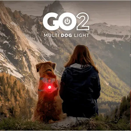 EzyDog Go2 Attachable Dog Light - Red