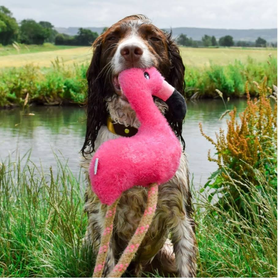 Beco Dog Toy - Fernando The Flamingo