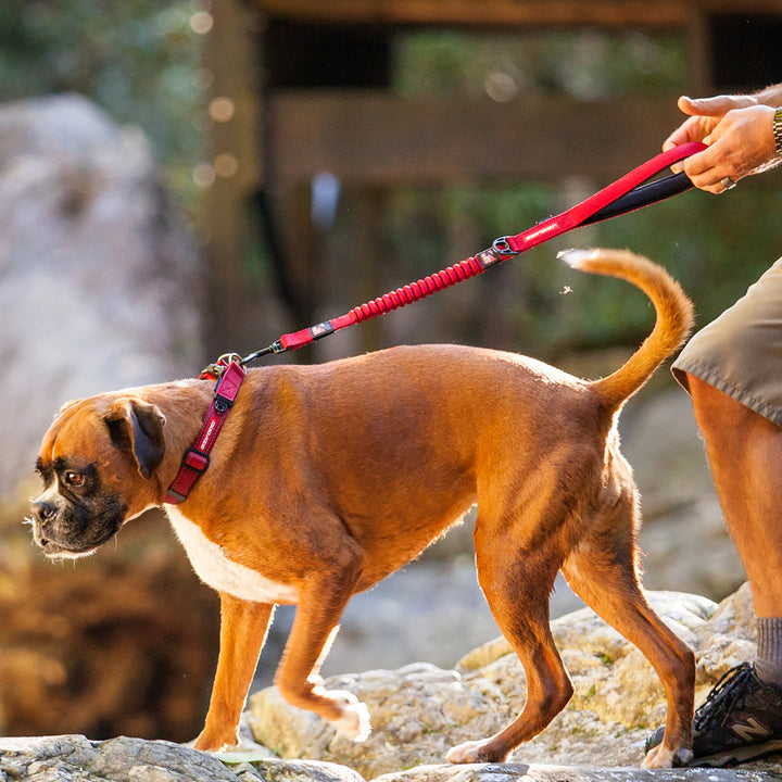 EzyDog Zero Shock Leash - Red 64cm / 120cm