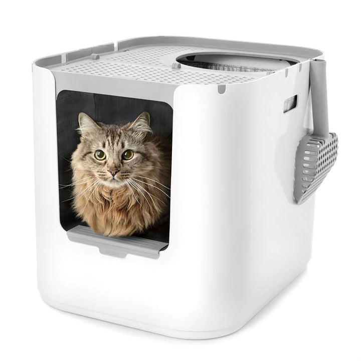 Modkat Extra Large Litter Box - White